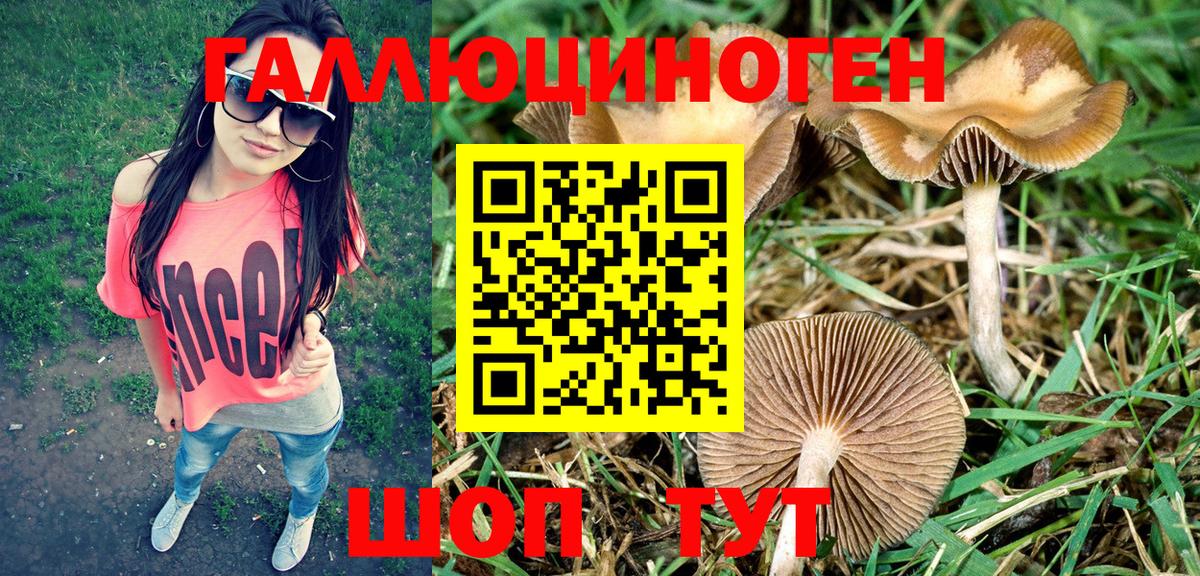 Галлюциногенные грибы Psilocybine cubensis  Вход с VPN  Галлюциногенные грибы MAGIC MUSHROOMS  Губаха 